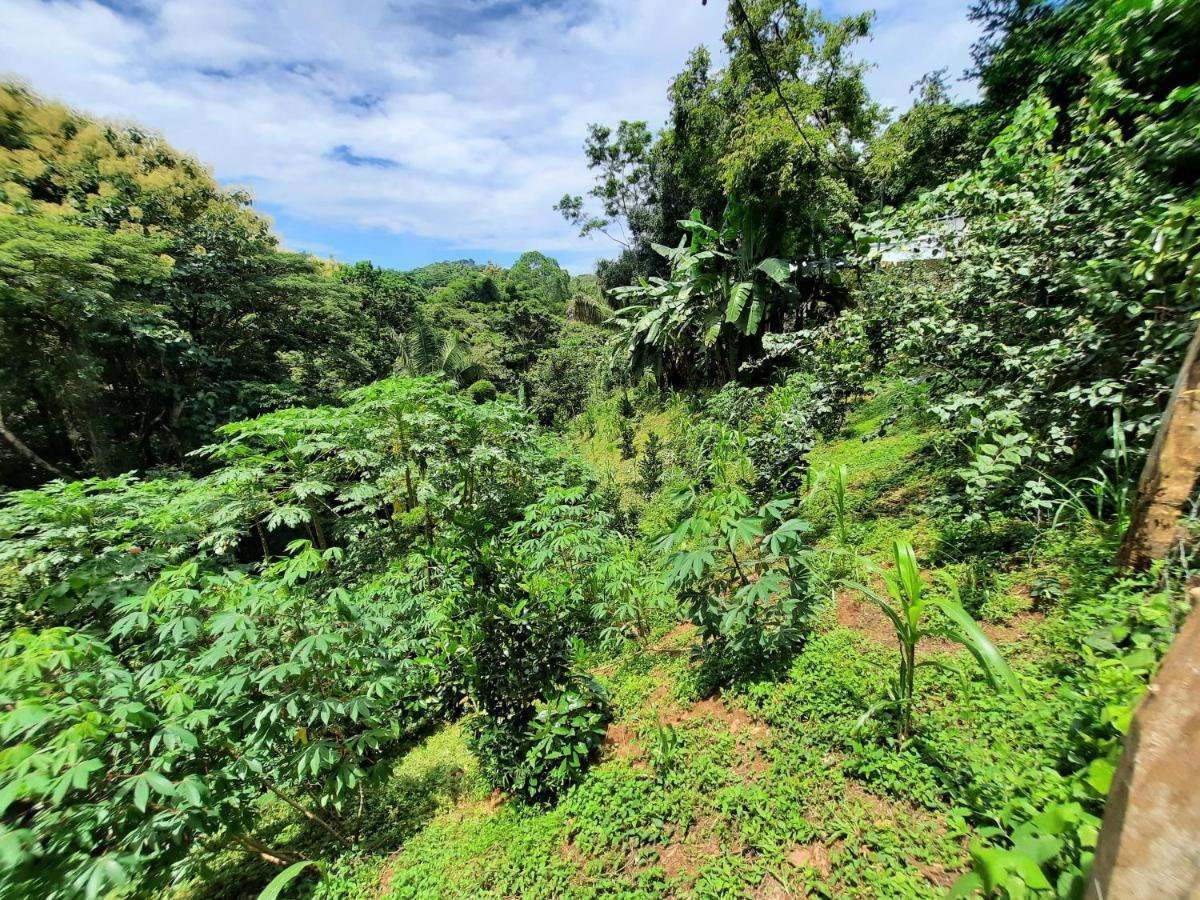 Eco-Turismo Guayacanes Sámara Zewnętrze zdjęcie